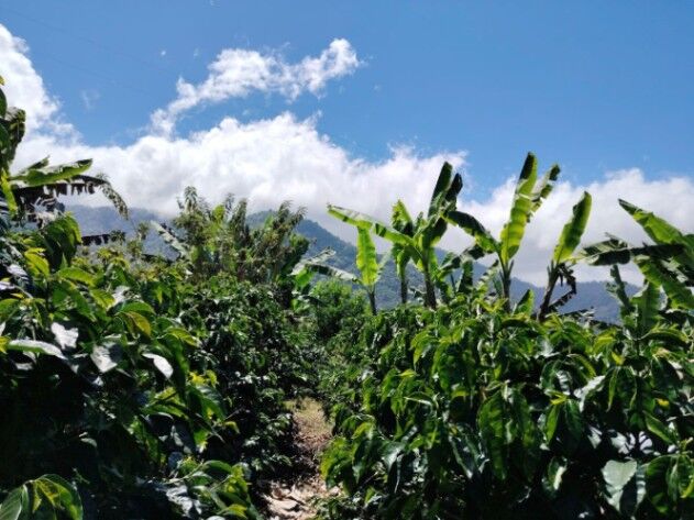 Venta Quinta en Providencia de Dota in Copey, Dota, San José — $147,000