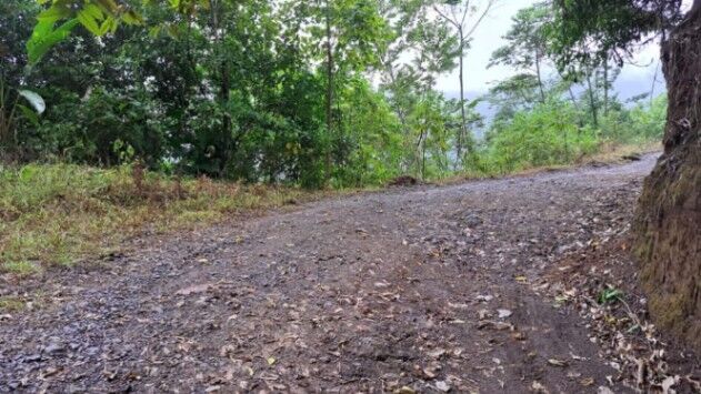VENDO LOTE EN ACOSTA-SAN JOSÉ. in Sabanillas, Acosta, San José — $103,000