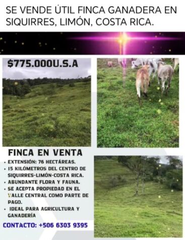 SE VENDE ÚTIL FINCA GANADERA EN SIQUIRRES, LIMÓN.  in Siquirres, Limón — $775,000