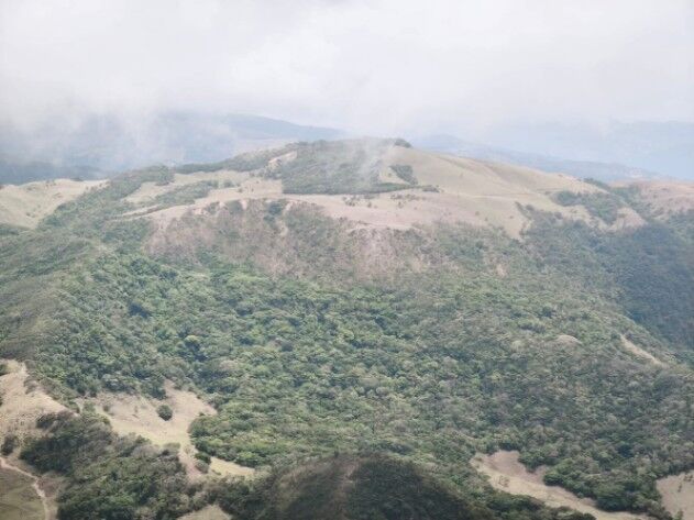 VENDO BELLA FINCA EN ZAPOTAL, SAN RAMÓN.  in San Ramón, Alajuela — ₡ 27 490 000