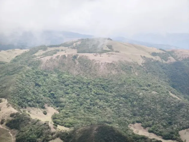 VENDO BELLA FINCA EN ZAPOTAL, SAN RAMÓN.  en San Ramón, Alajuela — ₡ 27 490 000