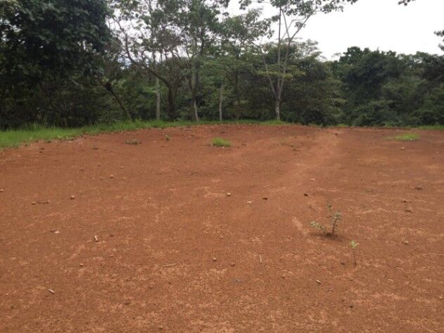 Quinta rodeada de naturaleza y paz ideal para construir en Alajuela #23-2706 GS en San Mateo, Alajuela — $82,000