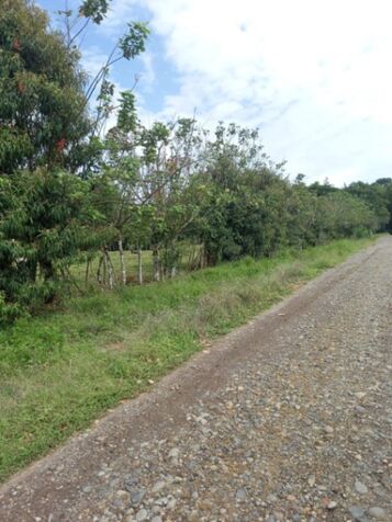 QUINTAS EN VENTA HORQUETAS DE SARAPIQUI  in Las Horquetas, Sarapiquí, Heredia — ₡ 25 000 000