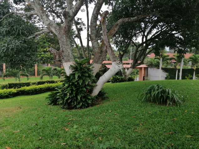 La GARITA - Venta / Renta de Quinta con Casas Y Complejo de Oficinas en Garita, Alajuela — $7,500 - Foto 2 de 59