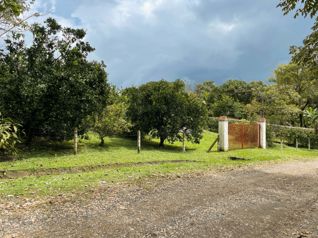 Venta de Lote en Residencial, Coyolar, Orotina (FAU). en Coyolar, Orotina, Alajuela — $110,000 - Foto 4 de 16