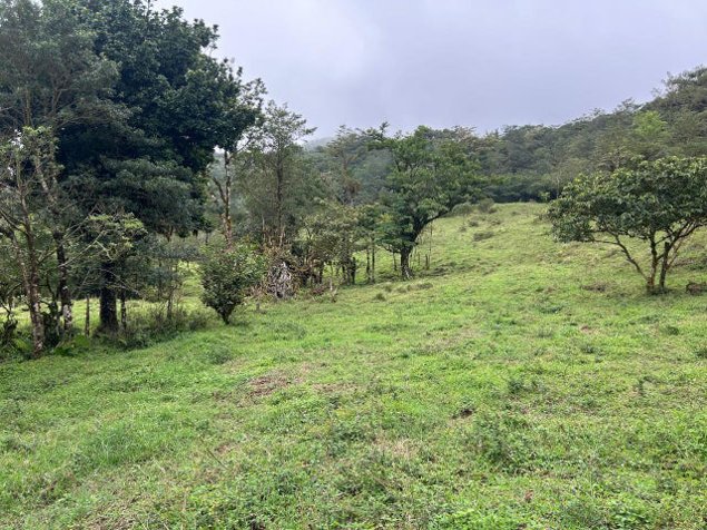 Venta de Lote en Palmital de Puntarenas. RAH 26-15 en Colinas, Buenos Aires, Puntarenas — ₡ 202 369 000