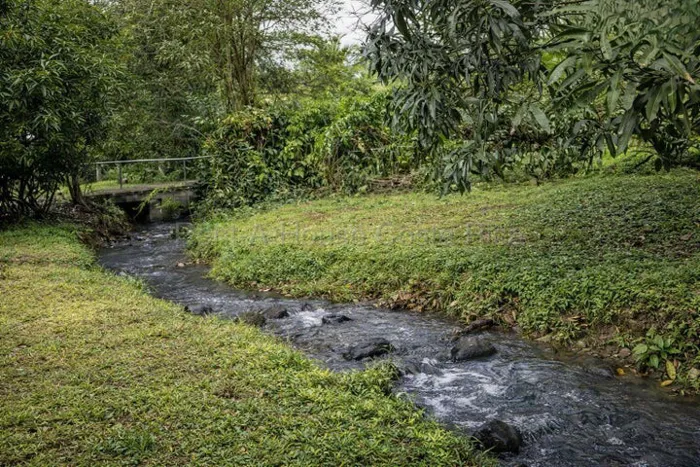 Venta de Lote PLANO en San Carlos-La Fortuna. RAH 27-935 en La Fortuna, San Carlos, Alajuela — ₡ 17 000 000 - Foto 3 de 8
