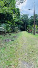 Terreno a la venta  en Guápiles, Pococí, Limón — 20 000 000 ₡ - Foto 5 de 12