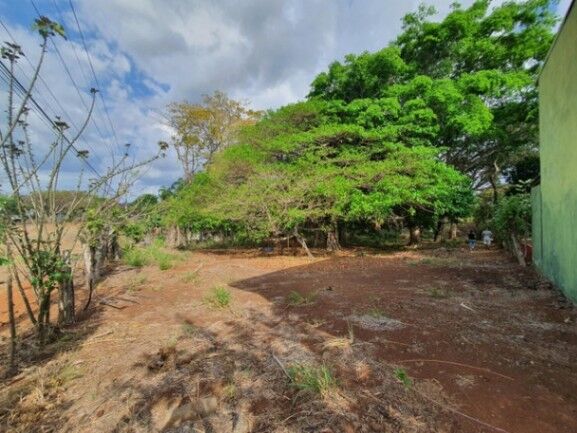 Se vende amplio lote de 1.5 hectáreas en Orotina Alajuela 25-1298 in Orotina, Alajuela — $700,000