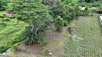 Se Vende Lote en Puerto Jiménez en Puerto Jiménez, Golfito, Puntarenas — 40 000 000 ₡ - Foto 4 de 10