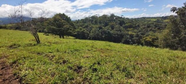 SE VENDE FINCA EN SANTA ELENA DE PITTIER, COTO BRUS.  in Pittier, Coto Brus, Puntarenas — ₡ 192 000 000