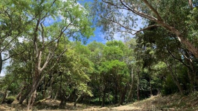 Venta de Lote en Residencial Montaña del Sol en Pozos de Santa Ana. RAH 27-123 in Pozos, Santa Ana, San José — $238,000