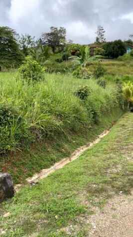 Build Your Dream in Paradise – Flat Jungle Lot with Mountain & Waterfall Views en Puerto Cortés, Osa, Puntarenas — $39,000