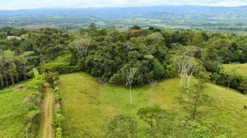 BEAUTIFUL LAND FOR SALE IN THE HEART OF SAN FRANCISCO DE CAJON, 96 ACRES