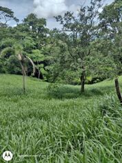 Invierte en un paraíso natural con alto potencial de plusvalía, Acosta, San José, Costa Rica. en Guaitil, Acosta, San José — 75 000 000 ₡ - Foto 4 de 4