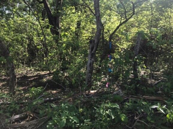 MLS-23-2562 VENTA LOTE LIBERIA GUANACASTE en Liberia, Guanacaste — ₡ 23 000 000