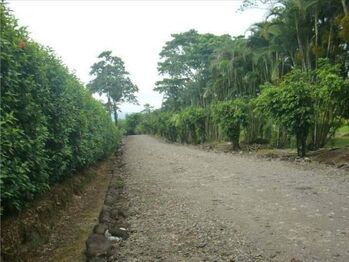 Finca en Venta La Virgen, Sarapiquí, Heredia