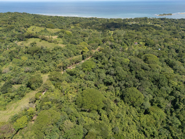 Finca de 58.6 Hectáreas con Vista al Mar y Potencial de Desarrollo in Cóbano, Puntarenas — $3,500,000