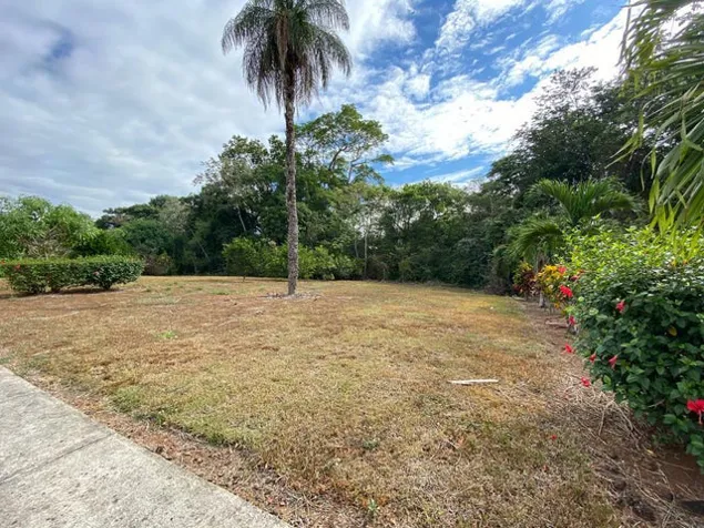 Venta de Lote en Turrubares-San Pablo. RAH 25-1783 en San Pablo, Turrubares, San José — ₡ 25 000 000 - Foto 2 de 13