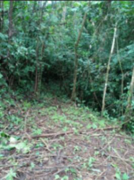  ¡OPORTUNIDAD ÚNICA EN CHACHAGUA A UN PRECIO INMEJORABLE!🏞️ en Peñas Blancas, San Ramón, Alajuela — ₡ 166 122 000