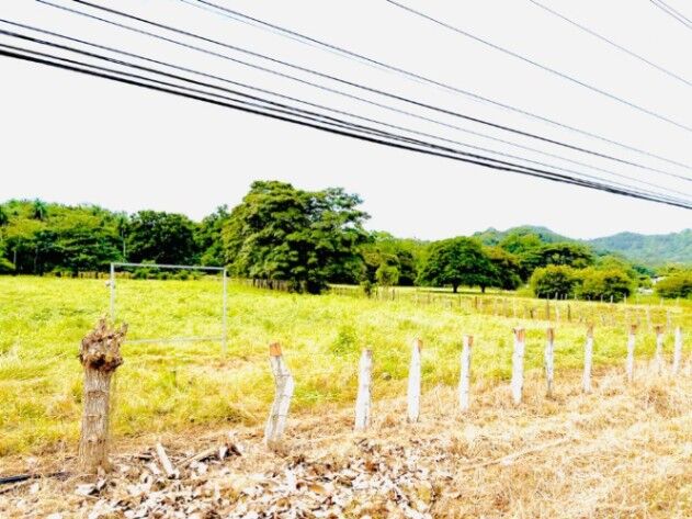 El Malinche en Tamarindo, Santa Cruz, Guanacaste — $457,000