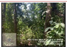 LOTE TURRUBARES en San Pedro, Turrubares, San José — 37 000 000 ₡ - Foto 4 de 4