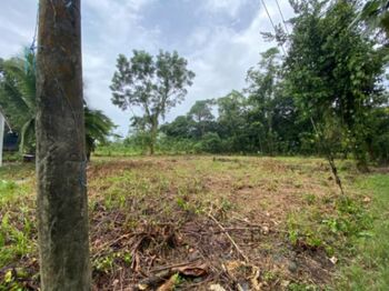 Terreno a la venta en Roxana, Guápiles in Roxana, Pococí, Limón — 4 000 000 ₡ - Photo 4 of 6