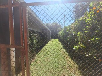 Vendo propiedad de montaña in San Isidro, Vázquez de Coronado, San José — 70 000 000 ₡ - Photo 5 of 11