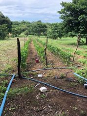Propiedad Rincón de la Vieja en Curubandé, Liberia, Guanacaste — $1,200,000 - Foto 5 de 40