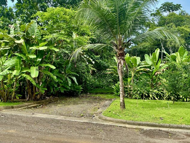 Lote en Venta en Plantation Acres – Tárcoles, Garabito, Puntarenas en Tárcoles, Garabito, Puntarenas — $250,000 - Foto 3 de 5