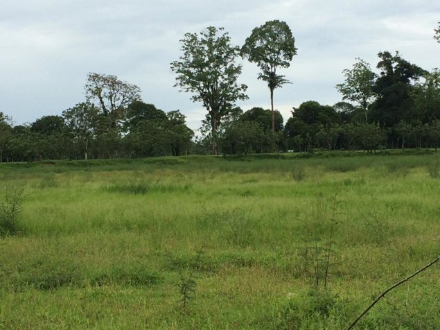 VENTA DE BELLA FINCA DE 5 Ha EN RIO FRIO DE SARAPIQUI en Las Horquetas, Sarapiquí, Heredia — $161,600