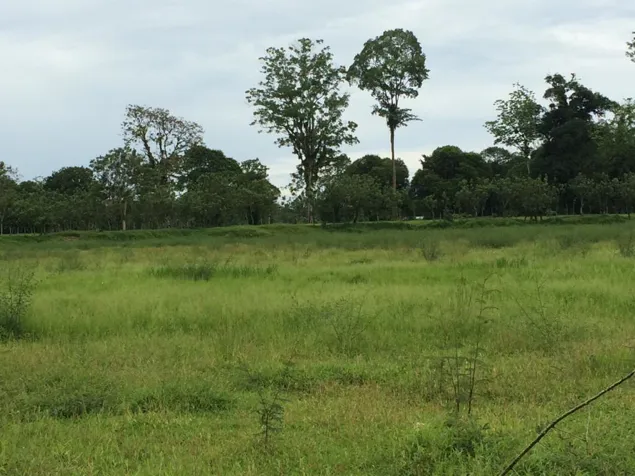 VENTA DE BELLA FINCA DE 5 Ha EN RIO FRIO DE SARAPIQUI en Las Horquetas, Sarapiquí, Heredia — $161,600