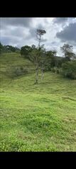 Farm For Sale Pacuarito, Siquirres, Limón