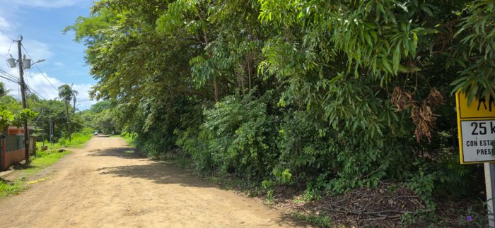 Lote en Venta, Playa Hermosa, Guanacaste. Playa muy Cerca 5PDN9280176 in Sardinal, Carrillo, Guanacaste — $1,007,000