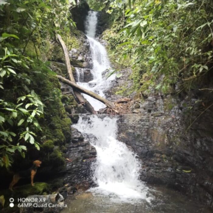 40 + Hectares en San Antonio de Baru, Perez Zeledon en Barú, Pérez Zeledón, San José — $330,000