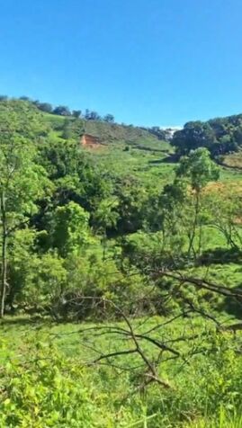 BELLA FINCA VARIOS USOS EN TABARCIA DE MORA, SAN JOSÉ.  en Tabarcia, Mora, San José — ₡ 100 000 000