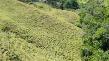 Beautiful Land for sale in the heart of Guaria, with views and creek (7 hectares / 17 acres) in San Isidro De El General, Pérez Zeledón, San José — $380,000 - Photo 4 of 9