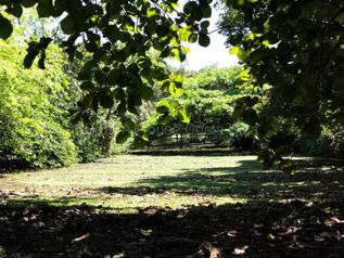 Venta de Lote en San Pablo de Turrubares. RAH 26-1602