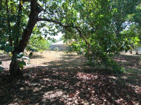LOTES en una ubicación privilegiada, con un clima ideal, donde podrá vivir con tranquilidad. en Hacienda Vieja, Orotina, Alajuela — ₡ 48 960 000