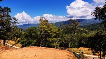 VENTA DE LOTES, PUNTARENAS, OSA, BAHIA BALLENA, DULCE PACIFICO en Bahía Ballena, Osa, Puntarenas — $175,000 - Foto 5 de 14