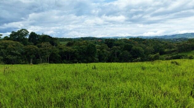 VENTA DE QUINTA DE 7.000 M2 EN SANTA CECILIA DE SAN PEDRO, PEREZ ZELEDON: CLIMA FRESCO Y VISTAS in San Pedro, Pérez Zeledón, San José — $80,000