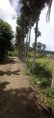 Una belleza de propiedad en Punta Mala de Osa  in Bahía Ballena, Osa, Puntarenas — 45 000 000 ₡ - Photo 4 of 18