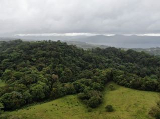 6 HECTAREAS EN NUEVO ARENAL DE TILARAN in Arenal, Tilarán, Guanacaste — 120 000 000 ₡ - Photo 3 of 8