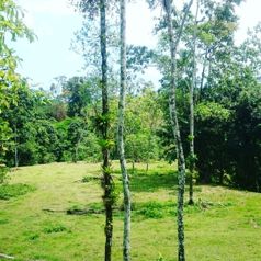 Excelente Finca a 5 minutos de Fortuna en La Fortuna, San Carlos, Alajuela — $3,000,000 - Foto 5 de 14