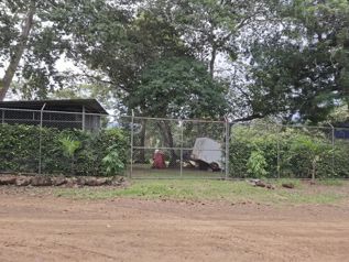 Oportunidad de venta terreno en Artieda de Esparza, Puntarenas