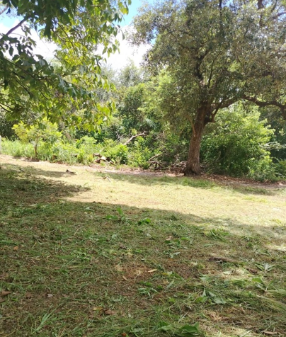 Farm for Sale in Bagaces in Bagaces, Guanacaste — $210,000 - Photo 2 of 12