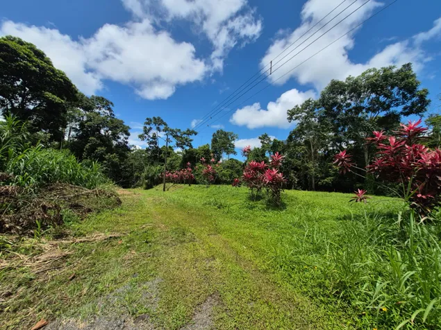🌿 LOTE EN VENTA EN BUENOS AIRES – CALLE MANZANO en Guápiles, Pococí, Limón — ₡ 35 000 000 - Foto 3 de 6