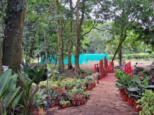 Quinta con Negocio de Vivero en Sarapiquí in Las Horquetas, Sarapiquí, Heredia — $195,000 - Photo 5 of 17