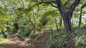 Venta terreno con vista al mar y montaña, Santa Cruz, Guanacaste. (FE) in Cuajiniquil, Santa Cruz, Guanacaste — $175,000 - Photo 4 of 9