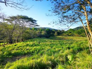 VENTA DE FINCA, PUNTARENAS, MONTAÑA GRANDE, LEPANTO in Lepanto, Puntarenas — $606,715 - Photo 4 of 11